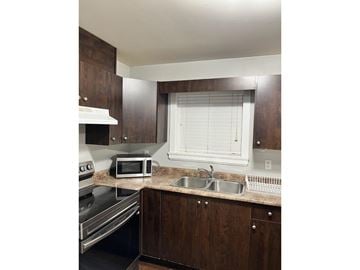 Surrey apartment for rent - A kitchen with a stove, microwave, and sink.