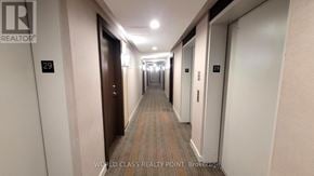 Toronto (Mimico) condo for rent - A long hallway with doors on both sides and a sign that says 29.
