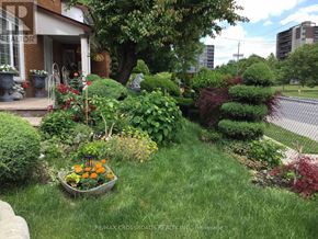 Toronto (Willowridge-Martingrove-Richview) apartment for rent - A well-maintained garden with a variety of plants and flowers.