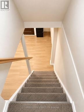 Welland (N. Welland) apartment for rent - A staircase with a wooden handrail and carpeted steps leading to a landing.