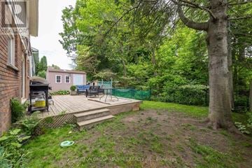 Owen Sound apartment for rent - A backyard with a deck, a tree, and a small building in the background.