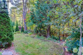 Pickering (Liverpool) apartment for rent - A lush green garden with a variety of trees and plants.