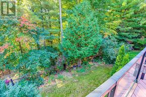 Pickering (Liverpool) apartment for rent - A lush green forest with a variety of trees and plants.