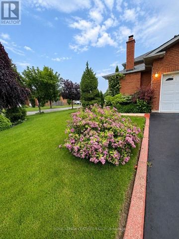 Mississauga (East Credit) apartment for rent - BSMT - 961 STARGAZER DRIVE Bsmt