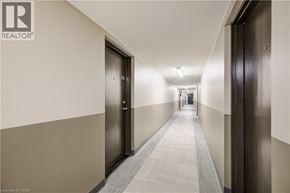 Cambridge apartment for rent - A long hallway with doors on either side.