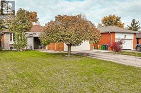 Brampton (Southgate) apartment for rent - A tree with green leaves stands in front of a house.