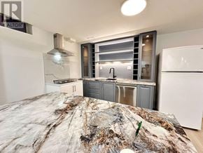 Richmond Hill (Rouge Woods) apartment for rent - A kitchen with a marble countertop and a refrigerator.
