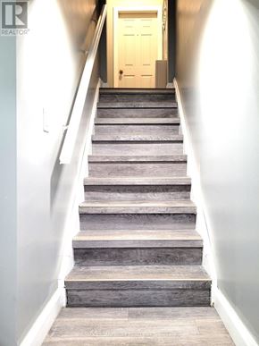 Cambridge apartment for rent - LOWER - 76 GLENVIEW AVENUE Lower