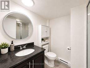 Welland (Prince Charles) apartment for rent - A bathroom with a sink, toilet, and a mirror.