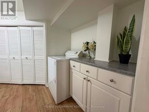Hamilton (Sunninghill) apartment for rent - A laundry room with a washer and dryer, a plant, and a cabinet.
