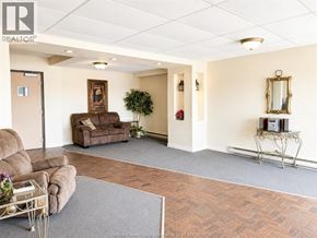 Windsor condo for rent - A living room with a brown couch and a grey rug.