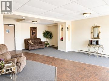 Windsor condo for rent - A living room with a brown couch and a grey rug.