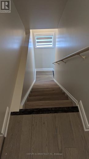 Milton (Bw Bowes) apartment for rent - A staircase with wooden steps and a black strip on the bottom.