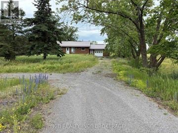 Greater Napanee (Greater Napanee) apartment for rent - A gravel road leads to a house in the countryside.