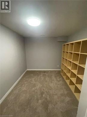 Guelph apartment for rent - A room with a carpeted floor and a wall of shelves.