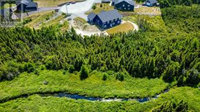 Torbay apartment for rent - A small house is surrounded by a forest.