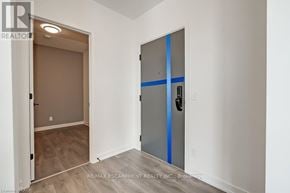 Oakville (Jm Joshua Meadows) condo for rent - A room with a door that has a blue stripe on it.