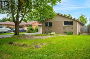 Brampton (Northwood Park) apartment for rent - A house with a tree in front of it.