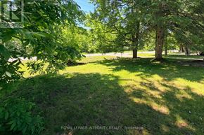 Ottawa apartment for rent - A lush green park with trees and grass.