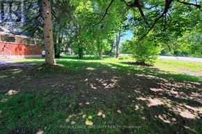 Ottawa apartment for rent - A grassy area with trees and a building in the background.