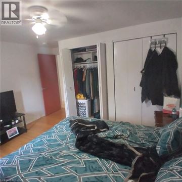 Kitchener apartment for rent - A bedroom with a bed, a TV, a wardrobe and a dog.