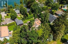 Whitchurch-Stouffville apartment for rent - A bird's eye view of a residential area with multiple houses surrounded by trees.