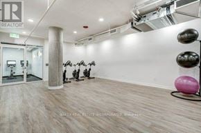 Toronto (St. Andrew-Windfields) townhouse for rent - A spacious room with a row of exercise balls and a mirror on the wall.