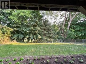 Toronto (Hillcrest Village) apartment for rent - BSMT A - 54 CLIFFWOOD ROAD Bsmt A