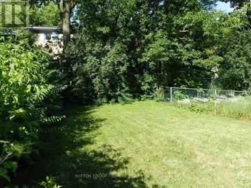 Mississauga (Erindale) apartment for rent - A lush green backyard with a fence and trees.