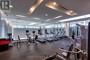 Toronto (Waterfront Communities) condo for rent - A gym with a variety of exercise equipment including treadmills, stationary bikes, and weight machines.