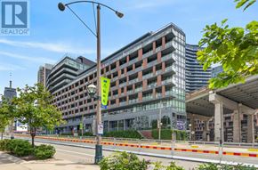 Toronto (Niagara) condo for rent - 323 - 169 FORT YORK BOULEVARD 323