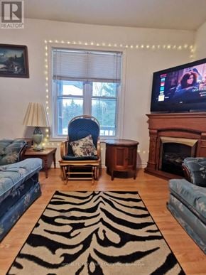 Marmora And Lake (Marmora Ward) apartment for rent - A living room with a zebra rug in the middle.