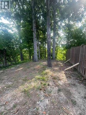 St. Catharines (Glendale/Glenridge) apartment for rent - A backyard with a dirt ground and a wooden fence.