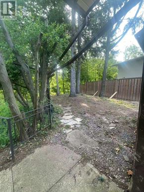 St. Catharines (Glendale/Glenridge) apartment for rent - A backyard with a fence and a tree.