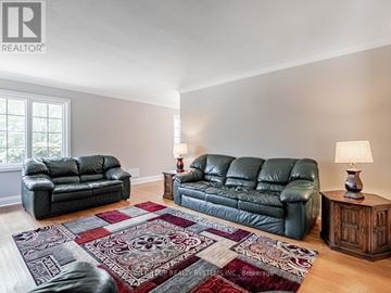 Toronto (Stonegate-Queensway) apartment for rent - A living room with a black leather couch and a rug.