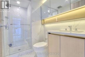 Toronto (Waterfront Communities) condo for rent - A bathroom with a toilet, sink, and walk-in shower.