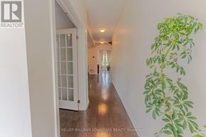 Brampton (Credit Valley) apartment for rent - A hallway with a plant on the right side.