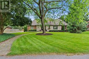 Niagara-On-The-Lake (Queenston) apartment for rent - A tree in a yard with a house in the background.