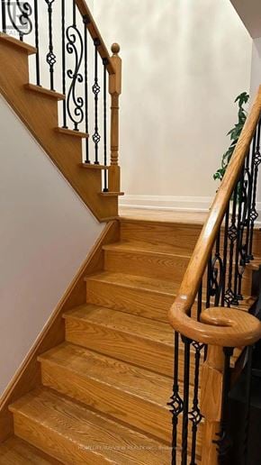 Vaughan (Maple) apartment for rent - A staircase with a wooden handrail and black balusters.