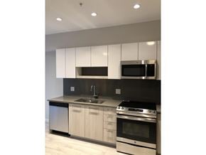 Surrey apartment for rent - A modern kitchen with a stainless steel dishwasher, microwave, and oven.