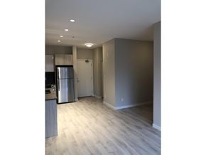 Surrey apartment for rent - A kitchen with a refrigerator and a wooden floor.