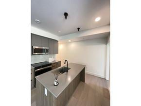Surrey apartment for rent - A modern kitchen with a stainless steel sink and wooden cabinets.