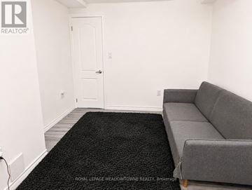 Milton (Be Beaty) apartment for rent - A living room with a grey couch and a black rug.