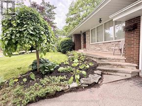 Pelham (Fonthill) apartment for rent - A garden with a tree and plants in front of a house.