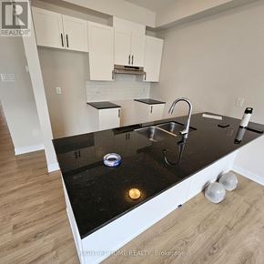 Ottawa townhouse for rent - A kitchen with black countertops and white cabinets.