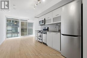 Toronto (Little Portugal) condo for rent - A modern kitchen with stainless steel appliances and wooden flooring.