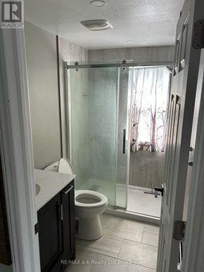 Woodstock (Woodstock - North) multi-family for rent - A bathroom with a toilet, sink, and glass shower door.