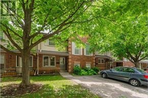 Guelph (Willow West/Sugarbush/West Acres) townhouse for rent - A tree in front of a house with a car parked in the driveway.