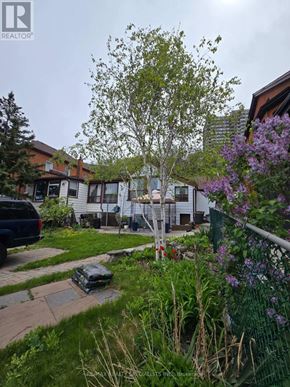 Hamilton (Corktown) apartment for rent - A backyard with a tree, a fence, and a car.