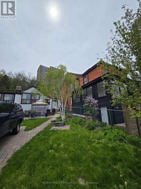 Hamilton (Corktown) apartment for rent - A tree in a yard with a house in the background.